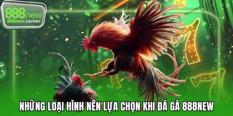 Những loại hình nên lựa chọn khi đá gà 888NEW