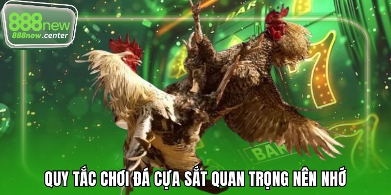 Quy tắc chơi đá cựa sắt quan trọng nên nhớ